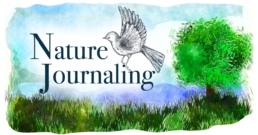 nature journaling