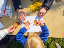 fall fest, news