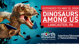 dino among us (news)