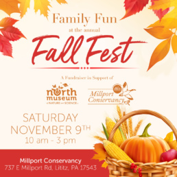 Fall Fest Nov 9