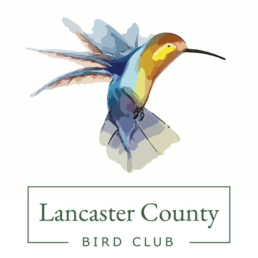 Lancaster Bird Club