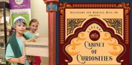 cabinet of curiosity