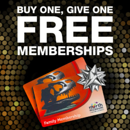 bogo memberships