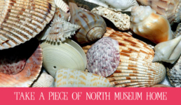 take a piece of north museum home