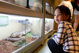live animal enclosure
