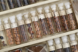 Groff's Seeds. LNP article