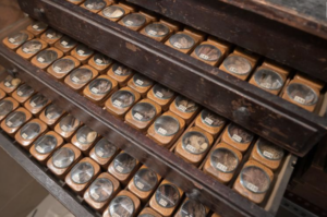 groff seeds LNP article