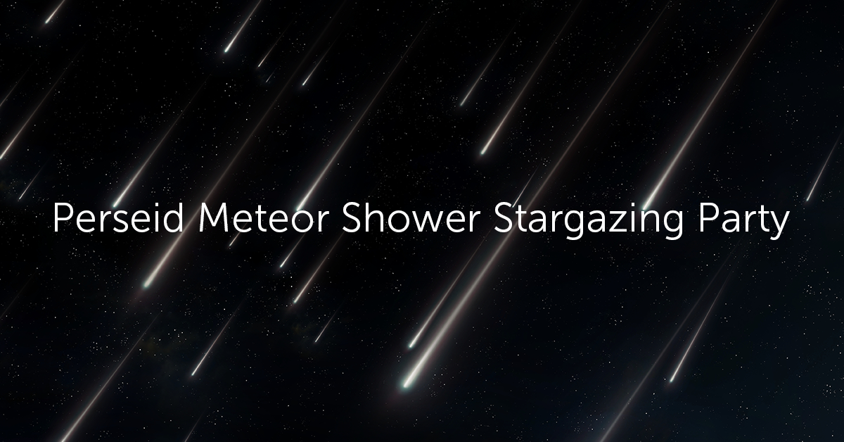 Perseid Meteor Shower Stargazing Party